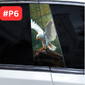 #P6